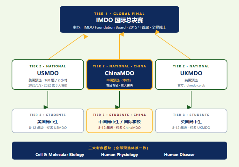 IMDO / ChinaMDO 2026 报名完整指南（图文流程 + 全球三级架构）