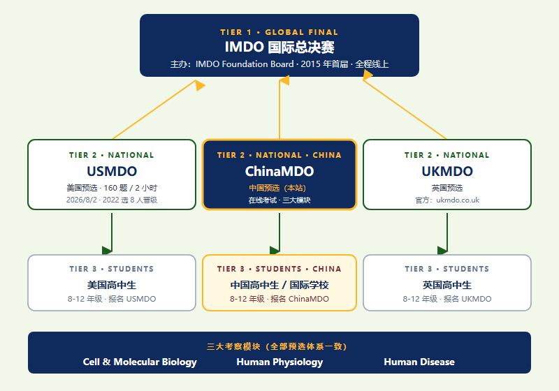 IMDO / ChinaMDO 2026 报名完整指南（图文流程 + 全球三级架构）