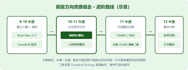前医方向竞赛组合的四阶段进阶路线图:9-10年级用 Brain Bee 或 IMDO 入门建立兴趣与基础,10-11年级用 IMDO 主攻医学方向,11年级生物学霸可叠加 USABO 检验深度,12年级冲刺与文书整合