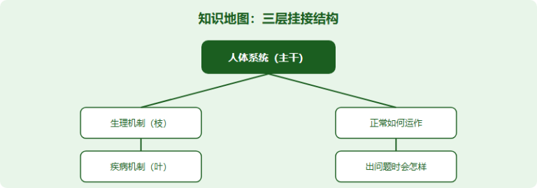IMDO 人体系统知识地图：按系统搭框架的备考法（2026）