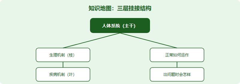 IMDO 人体系统知识地图：按系统搭框架的备考法（2026）