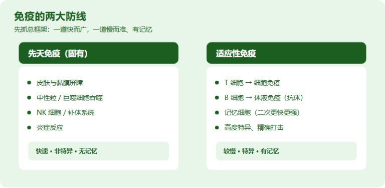 IMDO 免疫学高频考点速记：把免疫「串成网」，看懂免疫类病例题