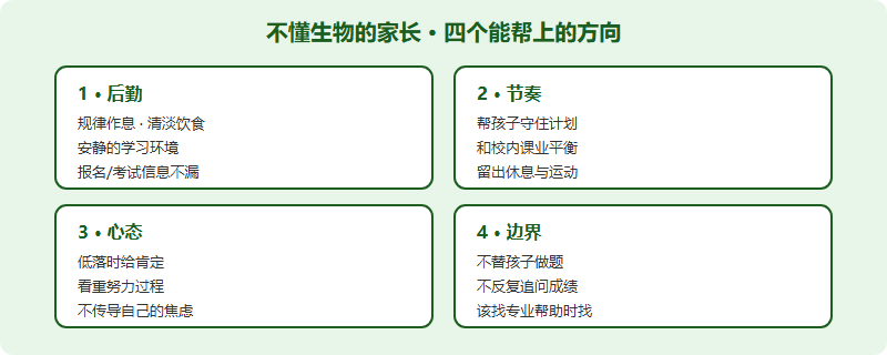 家长陪跑四象限:后勤、节奏、心态、边界,各自对应可做的具体事项