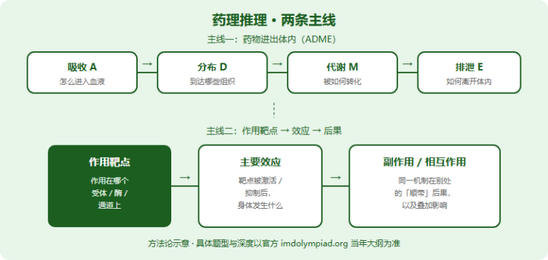 IMDO 药理推理题专项：从「药物在体内做什么」出发的解题框架（2026）