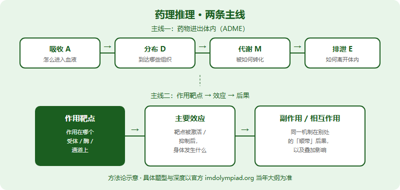 IMDO 药理推理题专项：从「药物在体内做什么」出发的解题框架（2026）