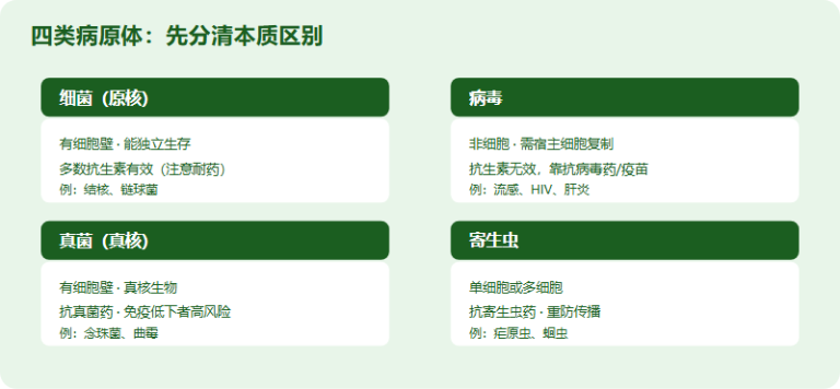 IMDO 微生物与传染病高频考点：四类病原体与传染病病例题拆解