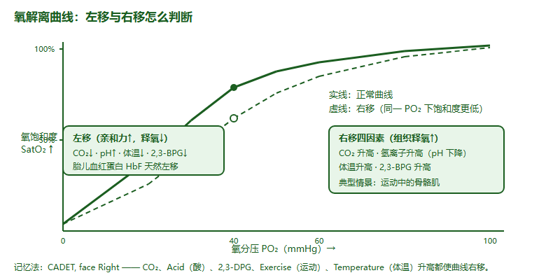 氧解离曲线示意图:正常曲线与右移曲线对比,并列出导致右移的四个因素与导致左移的因素