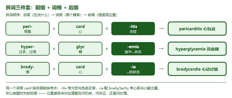 IMDO 医学英语术语速通：用词根词缀看懂陌生医学词（附高频后缀与缩写表）
