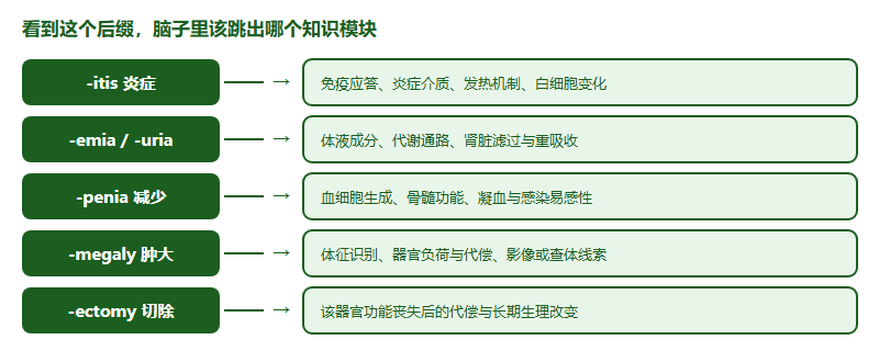 后缀与考查方向对应图：itis 对应炎症与免疫应答，emia 与 uria 对应体液成分与代谢，penia 对应血细胞与骨髓，megaly 对应体征与器官功能，ectomy 对应术后生理改变