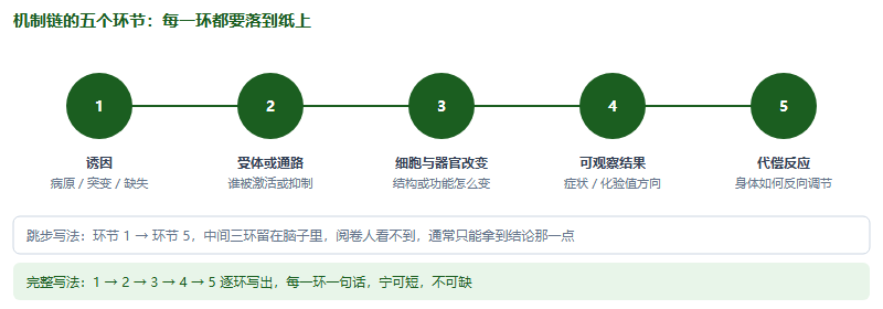 机制链五环节示意:诱因、受体或通路、细胞与器官层面的改变、可观察的指标与症状、身体的代偿反应,并对比跳步写法与完整写法